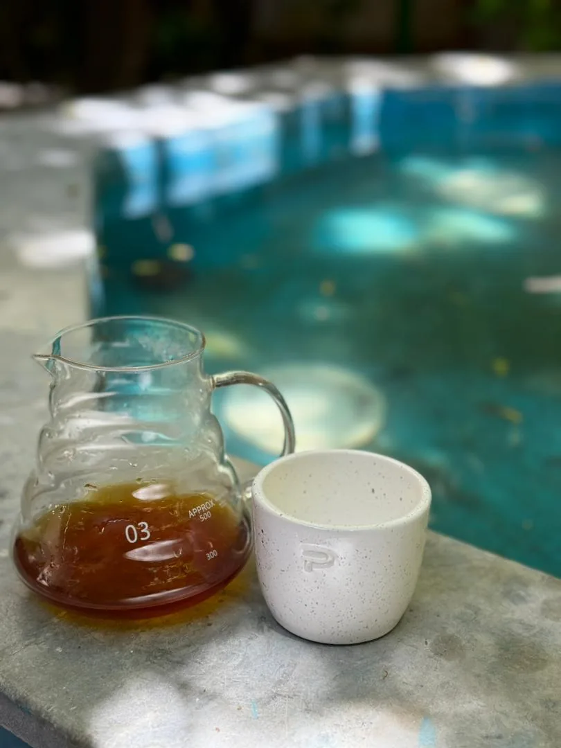 v60